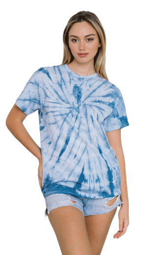 colortone（カラートーン）スパイダーＴシャツmain